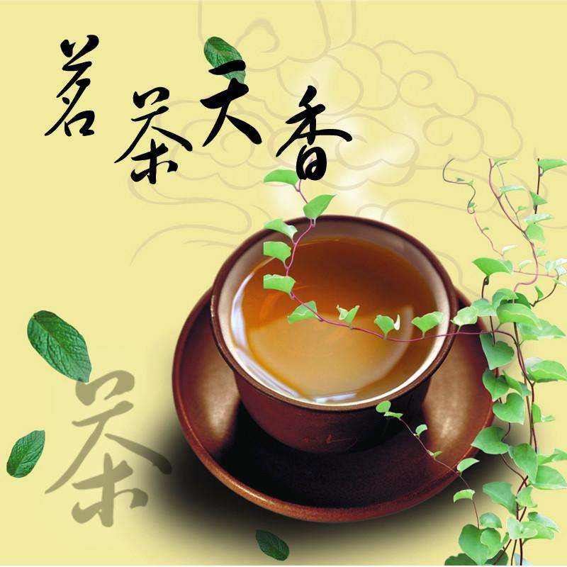 评茶员培训