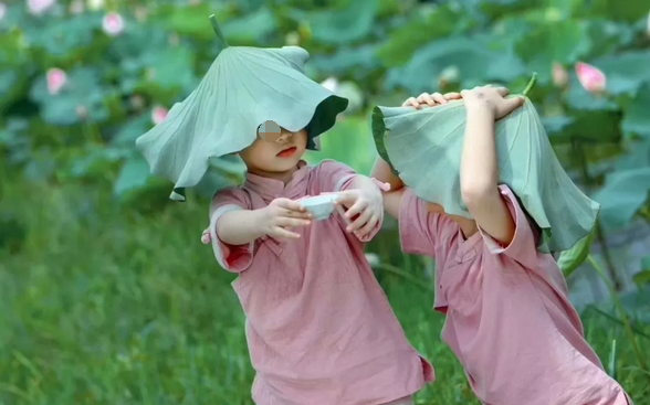 茶叶审评师培训