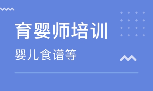 初级育婴师培训