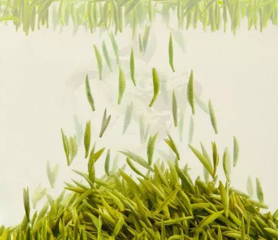 烘青绿茶和炒青绿茶的区别是什么