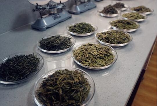茶叶的品质