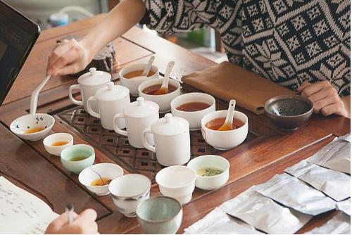 评茶师职业培训